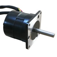 Step Motor - CW57BLMA54-50L230-01